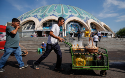 Uzbekistan launches digital lending platform to boost small business growth – AnewZ
