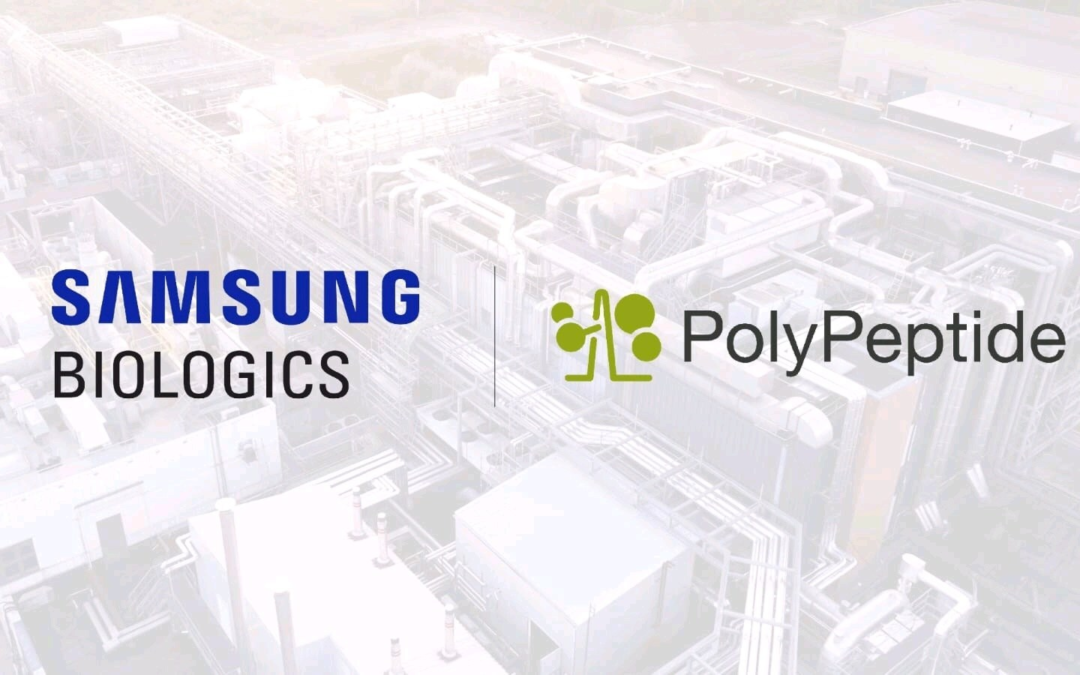 Wp header logo 58.png